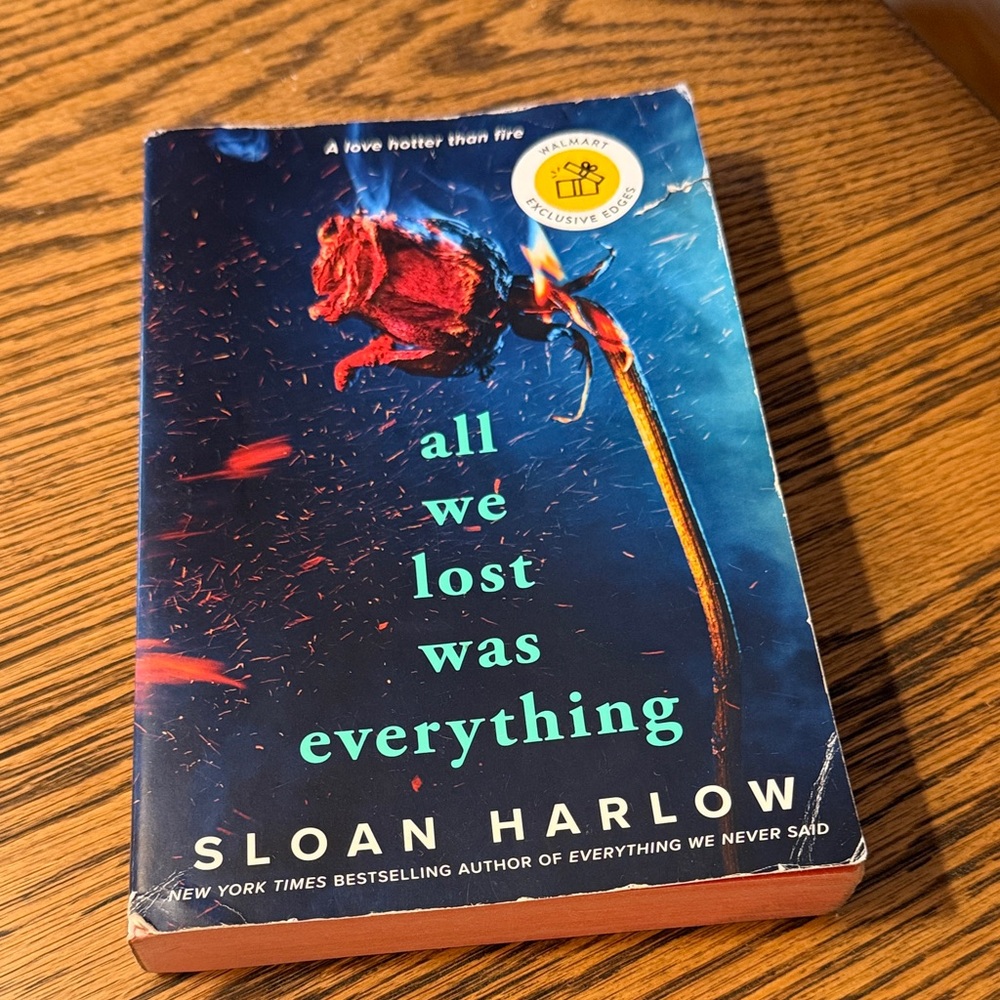 All We Lost Was Everything by Sloan Harlow - Teal & Navy Paperback